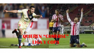FOTOQUIERENCOMERSE